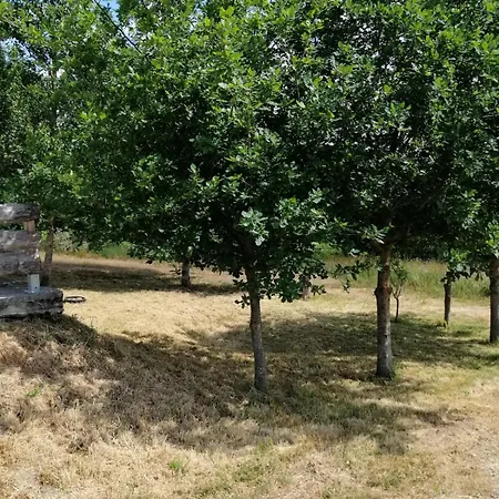 La Belle Vue Hébergement de vacances Durmignat